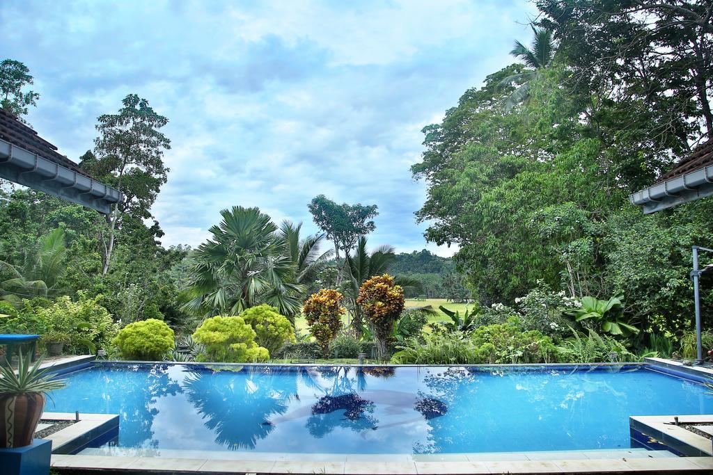 Lazy Lizard Hotel Galle Buitenkant foto