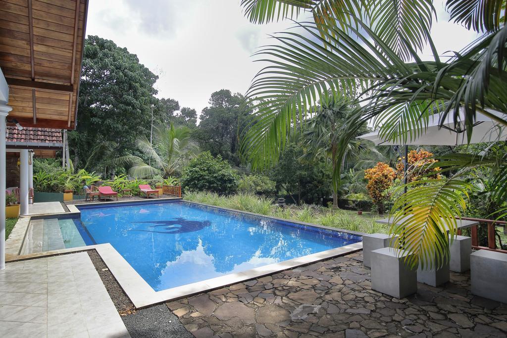 Lazy Lizard Hotel Galle Buitenkant foto