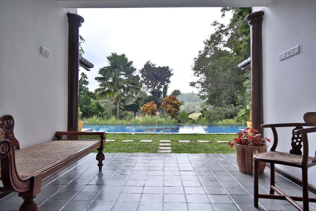 Lazy Lizard Hotel Galle Buitenkant foto